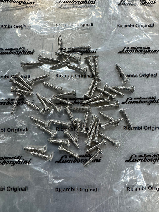 Lamborghini Diablo Interior Screws - (10 pack)